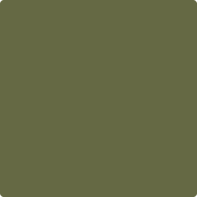 2144-10: Guacamole a paint color by Benjamin Moore avaiable at Clement's Paint in Austin, TX.