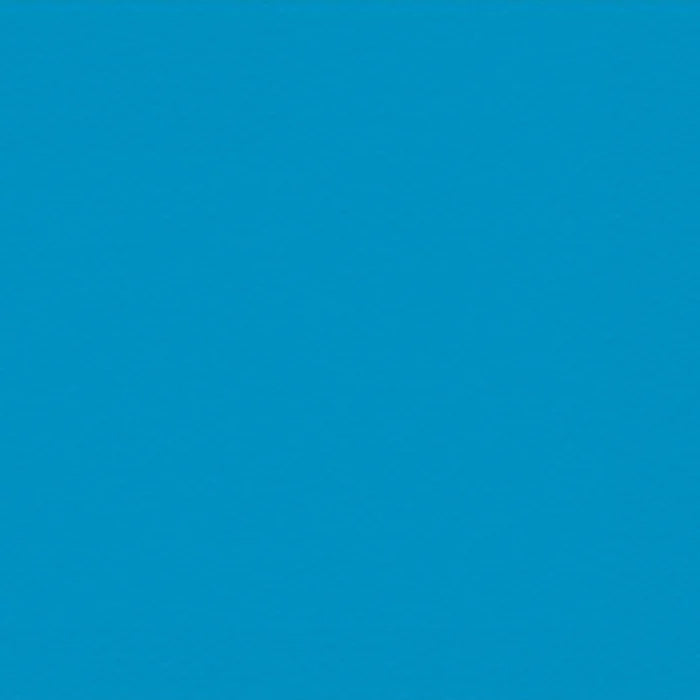 F2285 - Electric Blue Fleece