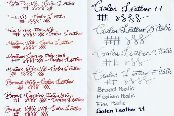 Gioia Alleria Vittoria Fountain Pen Ruthenium Trim