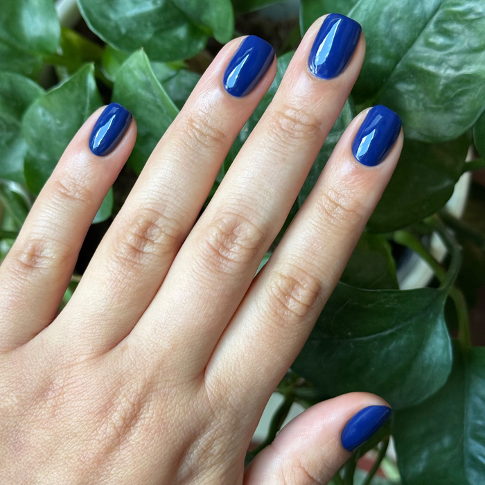 Hand with glossy deep blue Power Suit gel polish on short natural nails against leafy green background