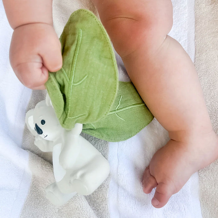 Winnie Parkes Banks the Koala Rattle & Scrunch