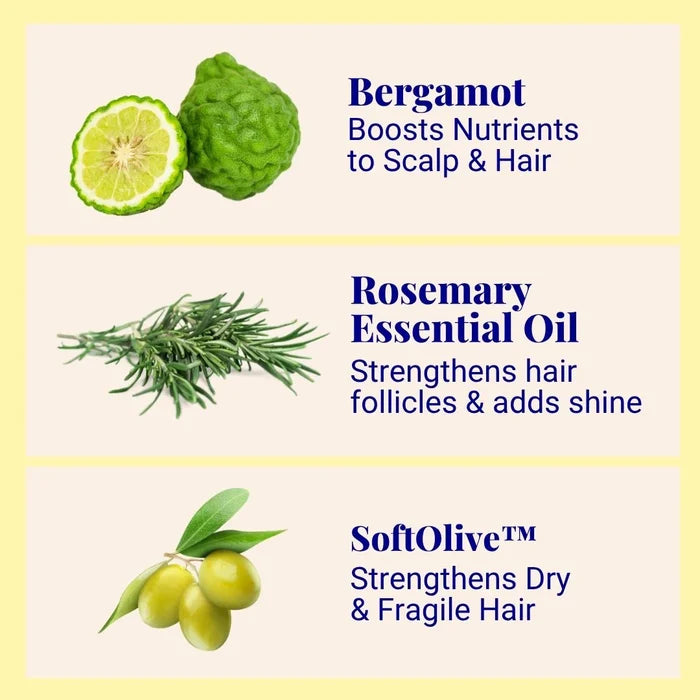 1 Year Supply (320x Washes) Hydrating Volume Conditioner For Fine, Dry & Thinning Hair Bergamot & Rosemary