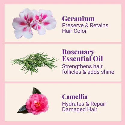 1 Year Supply (320x Washes) Nourishing Repair Conditioner For Thick, Damaged & Frizzy Hair Geranium & Rosemary
