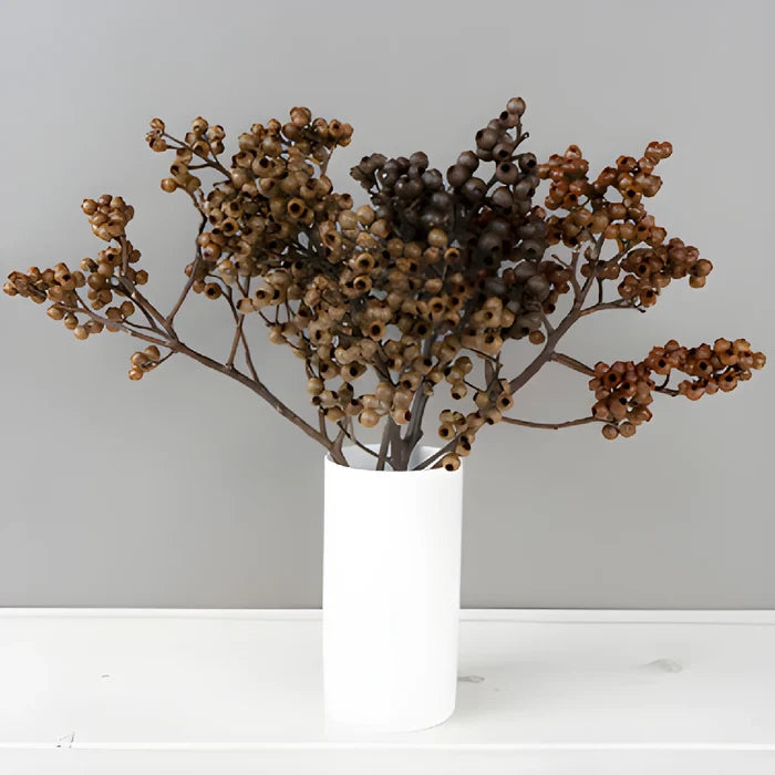 Brown Dried Eucalyptus Pods