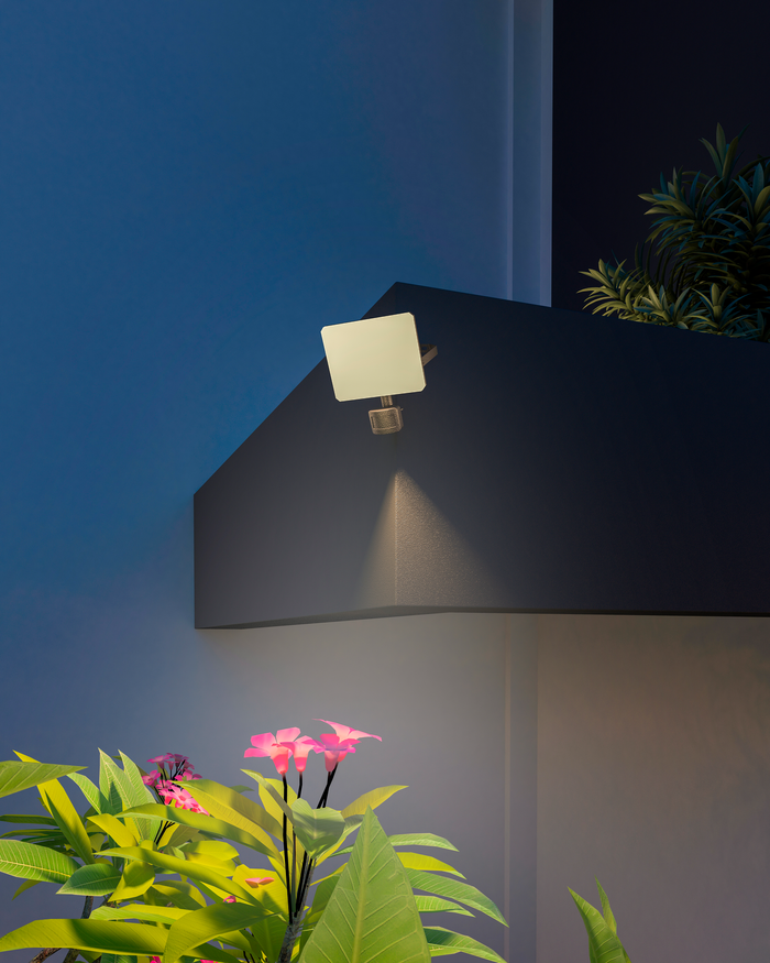 Calex Smart outdoor - frameless floodlight