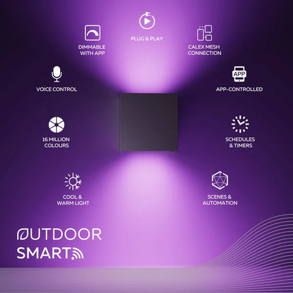 Calex Smart Wall Light - RGB and CCT - Black
