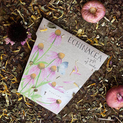 Gift of Seeds - Echinacea
