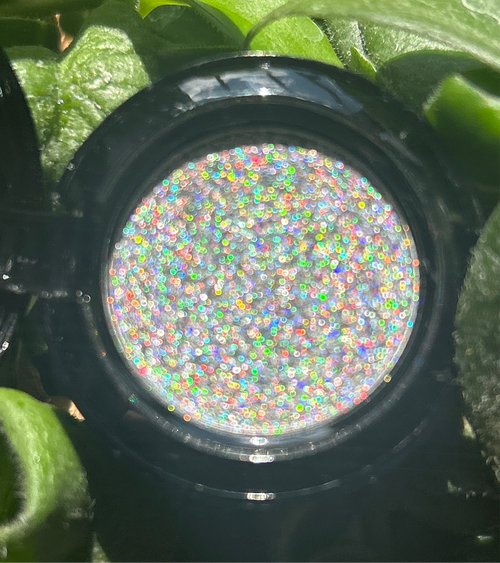 Holographic Universe – Holographic Eyeshadow (Limited Edition)