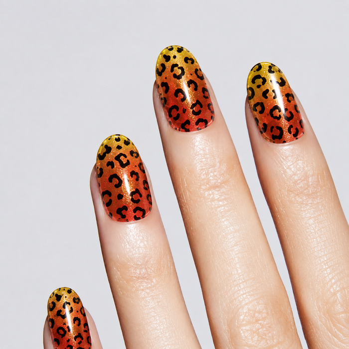 Hot Leopard