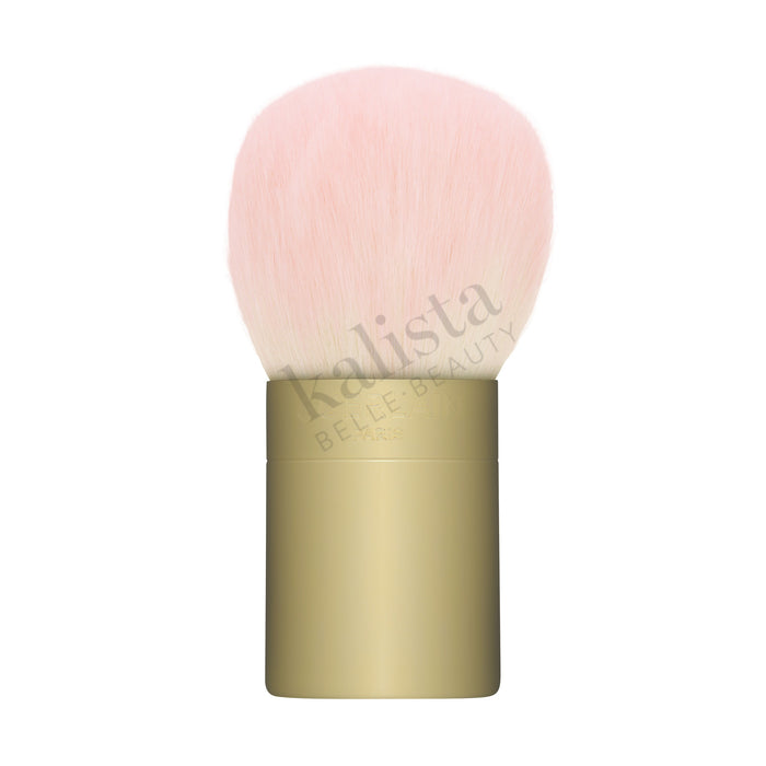 Météorites Powder brush