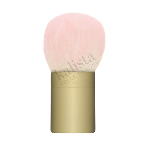 Météorites Powder brush
