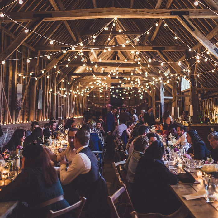 Pro Connect 25m 50 Warm White Connectable Festoon Lights White Cable