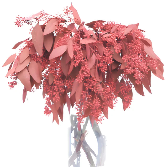 Red Seeded Eucalyptus for Weddings