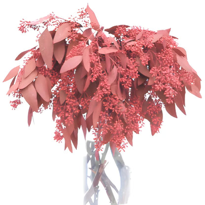 Red Seeded Eucalyptus for Weddings