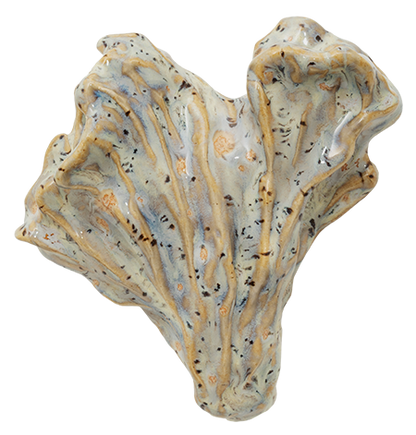 Seaweed No. 01