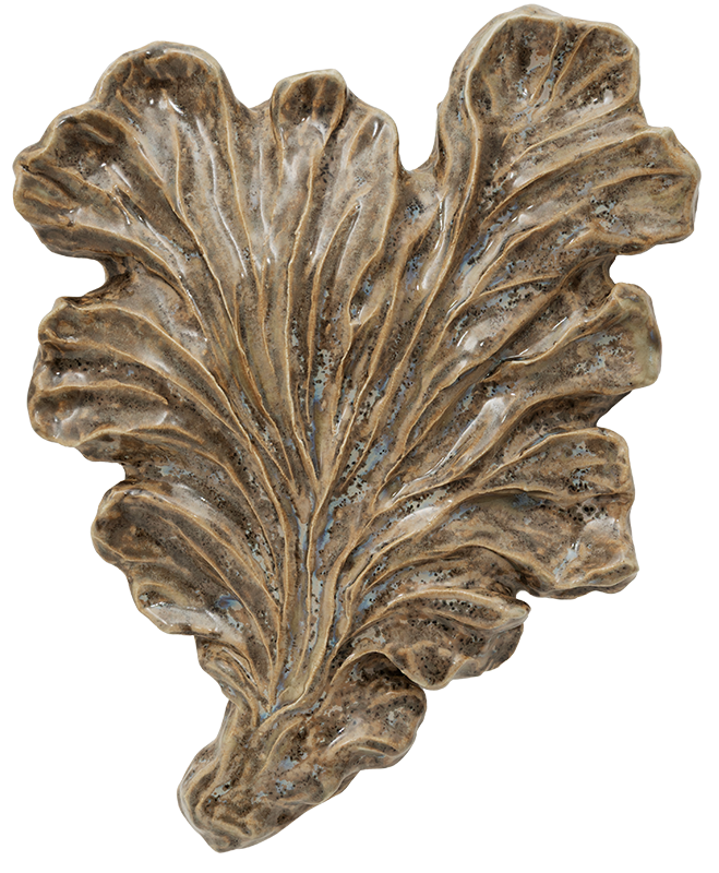 Seaweed No. 03