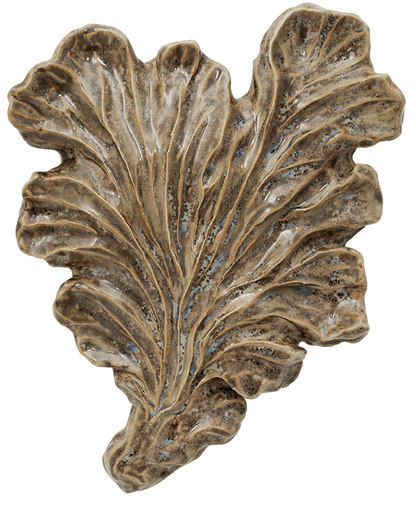 Seaweed No. 03