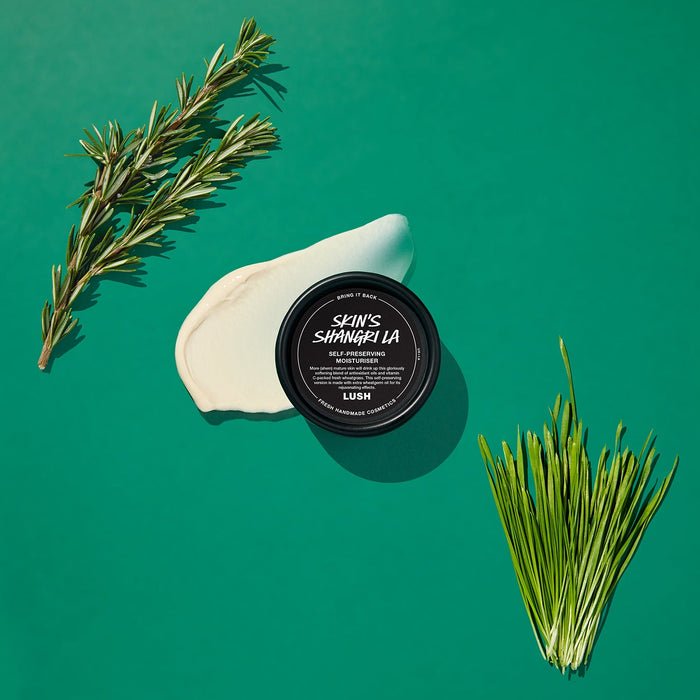 Skin's Shangri (Self Preservative)
