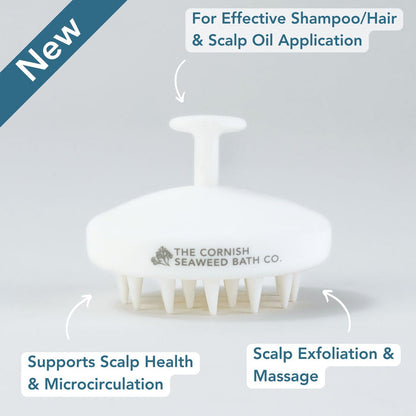 The Complete Haircare Set - The Cornish Seaweed Bath Co.