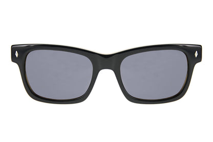 Waycooler Black + Honey Tortoise / Polarized Lenses