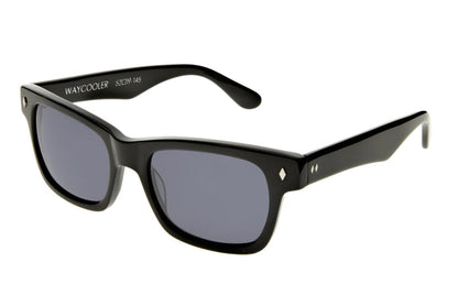 Black / Smoke / Polarized