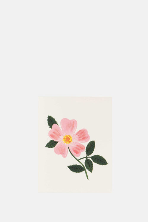 Rifle Paper Co Wild Prairie Rose Card.
