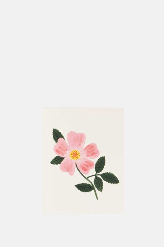 Rifle Paper Co Wild Prairie Rose Card.