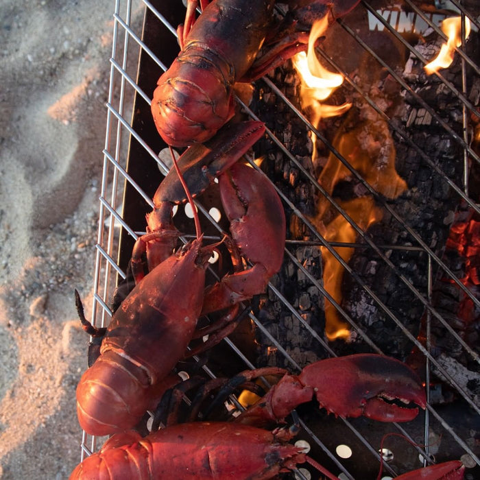 Winnerwell® XL-sized Flat Firepit