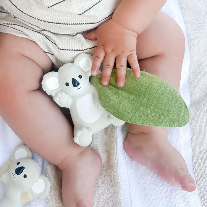 Winnie Parkes Banks the Koala Rattle & Scrunch