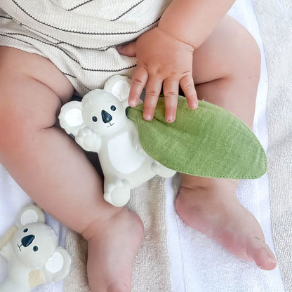Winnie Parkes Banks the Koala Rattle & Scrunch